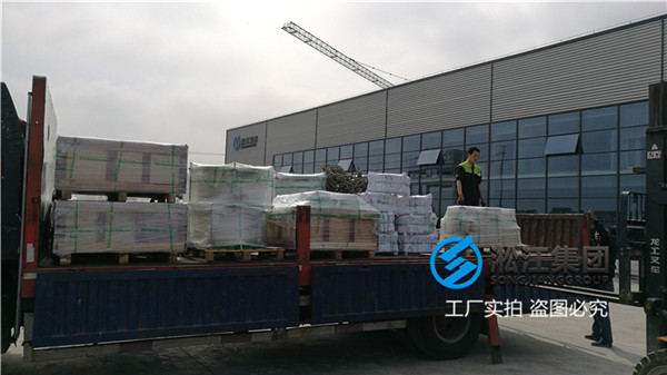 成都空调水用DN200橡胶避震接头
